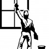 Pro-Shine Window Washing